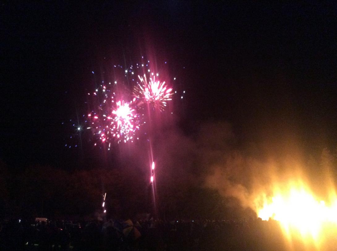 Lions Fireworks